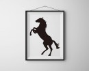 Horse Wall Decal Animal Stickers For Nursery